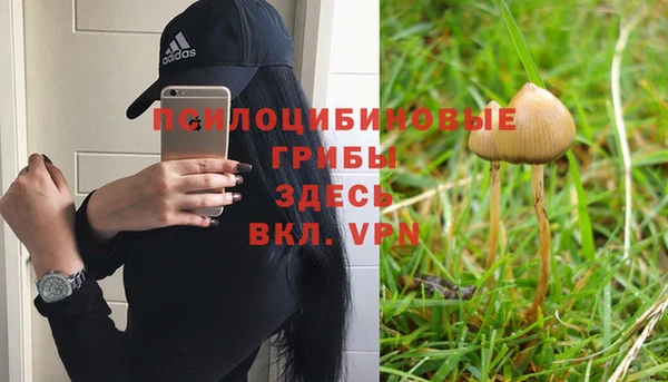 mdpv Баксан