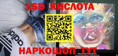 ALPHA PVP Бердск