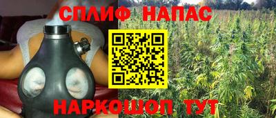 прущие крисы Братск