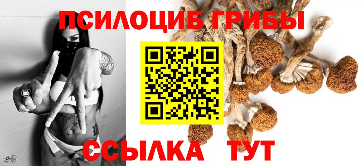 ГАШИШ  Заречный  Купить наркоту  ГЕРОИН  Мефедрон   Экстази  COCAIN  Каннабис  Вход с VPN 