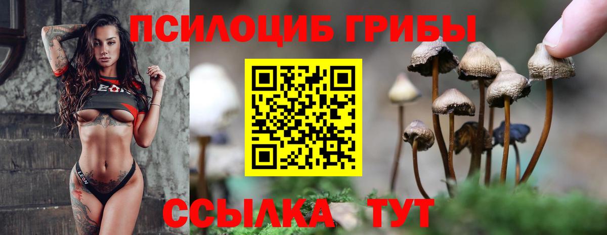 Псилоцибиновые грибы Psilocybine cubensis  хочу   Заречный  Вход с VPN  Псилоцибиновые грибы Psilocybe 