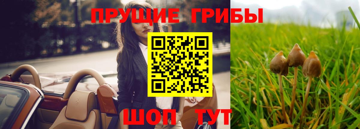 Галлюциногенные грибы мицелий Заречный