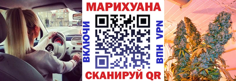 Каннабис конопля Заречный